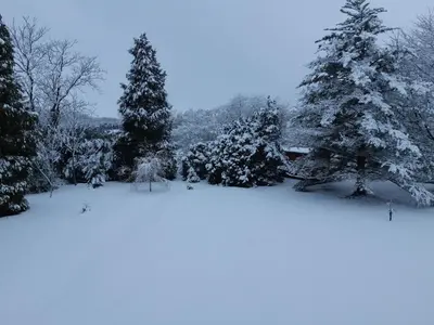 L'établissement Roulotte La Verdine en hiver