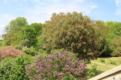 Jardin de l'établissement Ferme de la Vallière