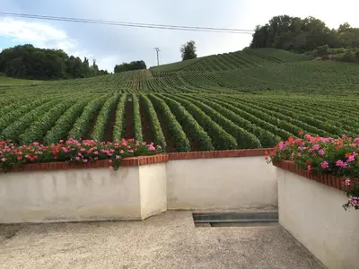 Jardin de l'établissement La Loge Du Vigneron