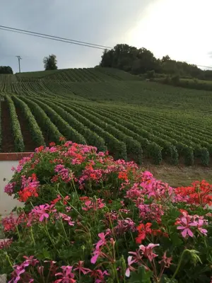 Jardin de l'établissement La Loge Du Vigneron