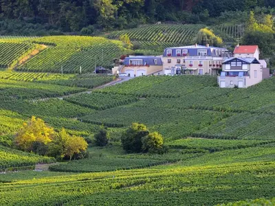 Paysage naturel près de la maison d'hôtes