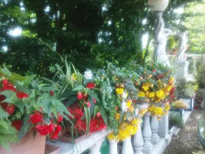 Jardin de l'établissement Chateau La Tour Du Roy