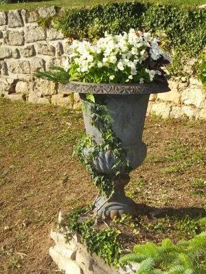 Jardin de l'établissement L'Eugenie