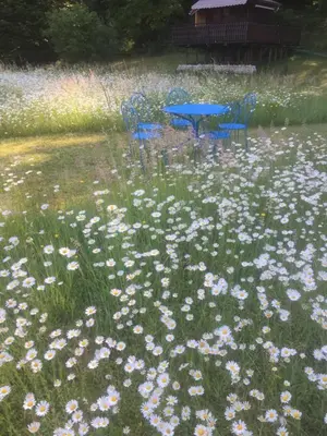 Jardin de l'établissement Le Chant des Oiseaux