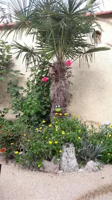 Jardin de l'établissement La CRAPOUNETTE