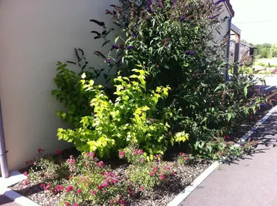 Jardin de l'établissement Fasthôtel Le Râle Des Genêts - Un hôtel FH Collection