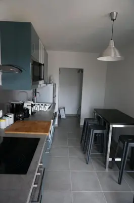 Cuisine ou kitchenette dans l'établissement Appartement Forum Reims