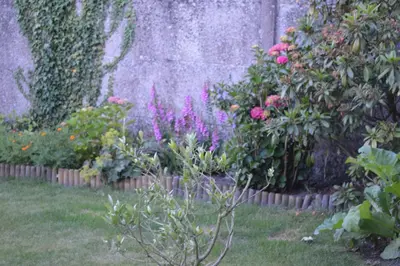 Jardin de l'établissement Logis Hotel & Restaurant La Paix