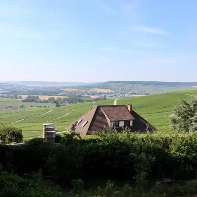 Le Sarment - HAUTVILLERS