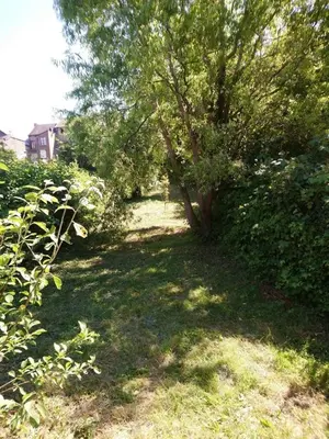 Jardin de l'établissement Cour et Jardin