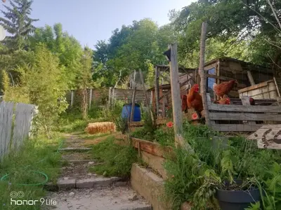 Jardin de l'établissement La Cabane Aux Loups