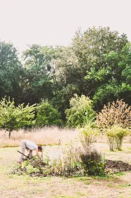 Jardin de l'établissement Chez Fred et Cécile