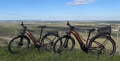 Vélo sur le terrain de l'établissement Gîte VILLA PAUL ou dans les environs