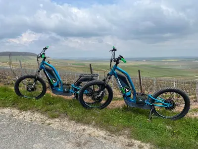 Vélo sur le terrain de l'établissement Gîte VILLA PAUL ou dans les environs