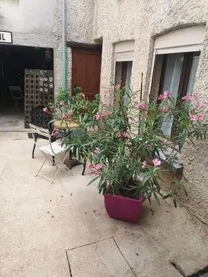 Plan de l'établissement Cottage AU TERMINUS