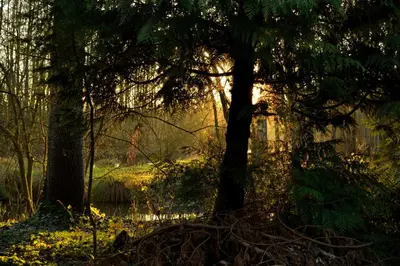 Paysage naturel près de la maison d'hôtes