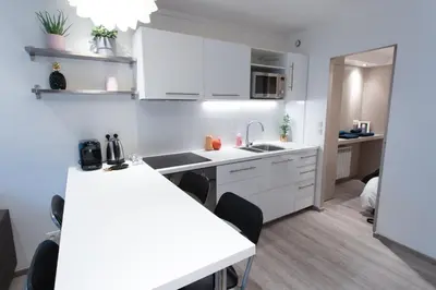 Cuisine ou kitchenette dans l'établissement Appartement au pied de la cathédrale