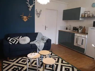 Cuisine ou kitchenette dans l'établissement Le Grand Est Scandinave, centre ville, proche cathédrale