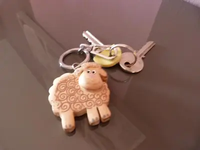 Animaux dans le B&B/chambre d'hôtes ou à proximité