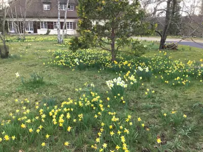 Jardin de l'établissement Résidence Clairbois, Chambres d'Hôtes