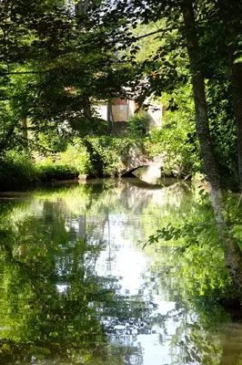 Paysage naturel près de le B&B/chambre d'hôtes