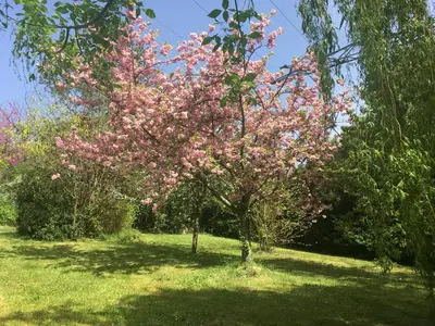 Jardin de l'établissement Oclos du RhuisO