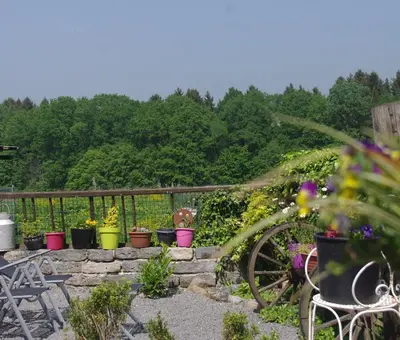 Jardin de l'établissement Gitavesnois - 4910 -