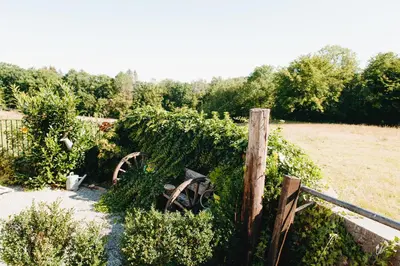 Jardin de l'établissement Gitavesnois - 4910 -