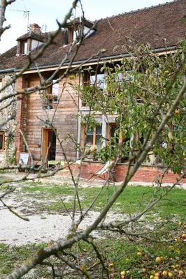 Jardin de l'établissement La Grange aux Loirs B&B