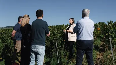 Clients de l'établissement Le Clos Corbier - Champagne Collard-Milesi