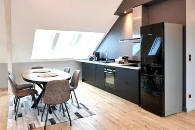 Cuisine ou kitchenette dans l'établissement L'appartement et les Suites de VJL...