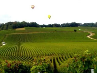 Paysage naturel près de l'appartement