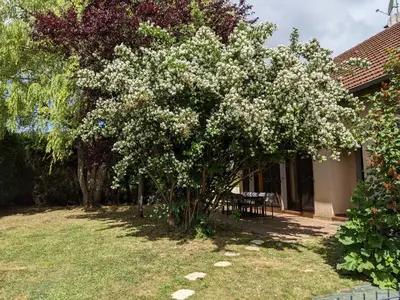 Jardin de l'établissement LA LOGIA DU SAULE