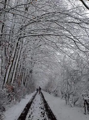 L'établissement Les Ecureuils en hiver
