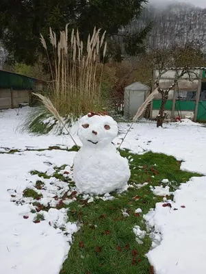 L'établissement Les Ecureuils en hiver