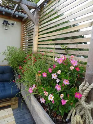 Jardin de l'établissement Casa Juno