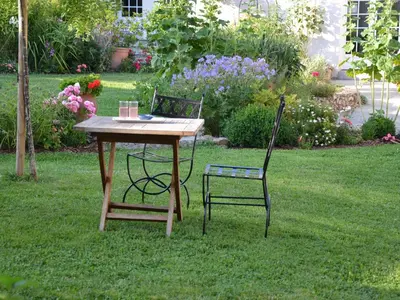 Jardin de l'établissement Les Célestines