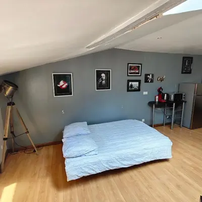 Un ou plusieurs lits dans un hébergement de l'établissement Ciné Loft 55 m2 Centre Ville
