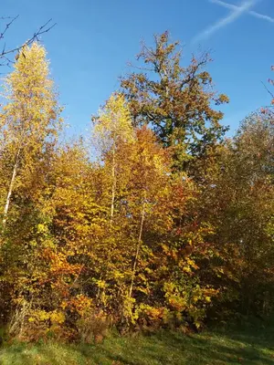Paysage naturel près de la maison de vacances