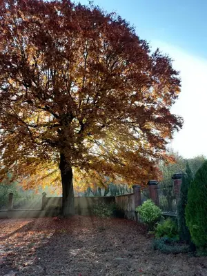 Jardin de l'établissement Château de la Malmaison