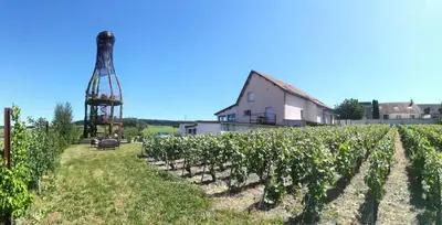 Jardin de l'établissement gîte coeur de champagne