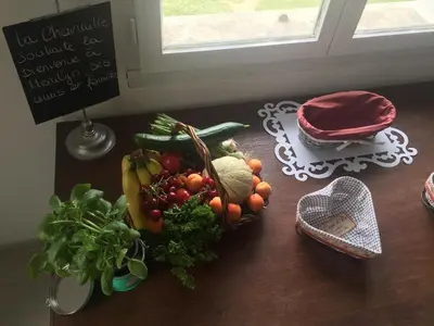 Nourriture dans le séjour chez l'habitant ou à proximité