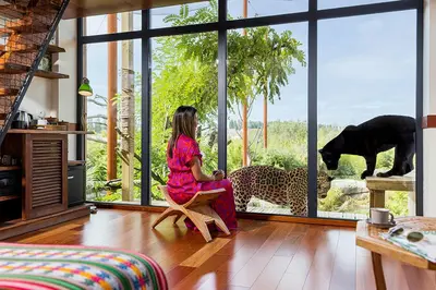 Jardin de l'établissement Parrot World - Les Lodges