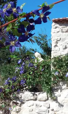 Jardin de l'établissement Les Bories en Champagne