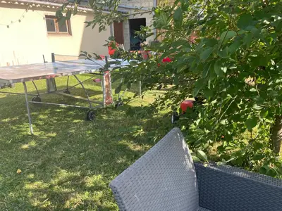 Jardin de l'établissement Villa bonne entente avec escape game