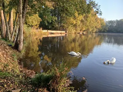 Vue sur la rivière ou le fleuve situé(e) à proximité de l'appartement