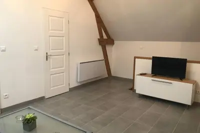 Télévision ou salle de divertissement dans l'établissement la petite loge
