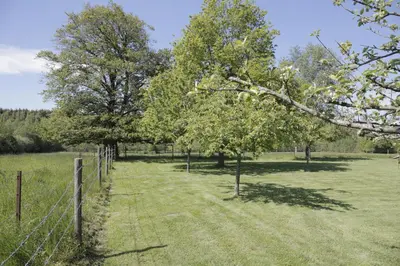 Jardin de l'établissement La Croix Bala
