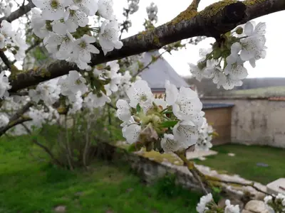 Jardin de l'établissement LE RELAIS
