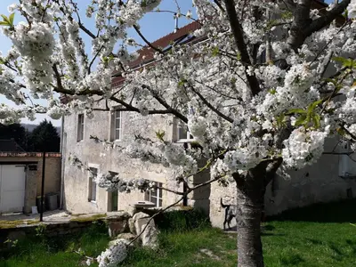 Jardin de l'établissement LE RELAIS